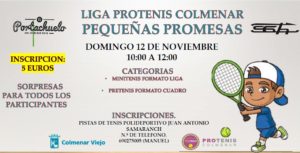 Cartel "PEQUEÑAS PROMESAS" Noviembre 2023